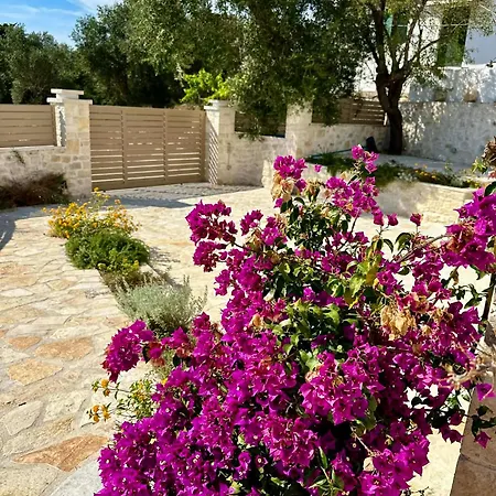 Nikolas - A Luxurious Escape With Panoramic Views