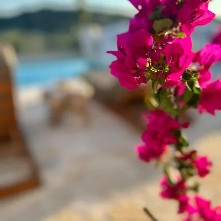 Nikolas - A Luxurious Escape With Panoramic Views Villa *